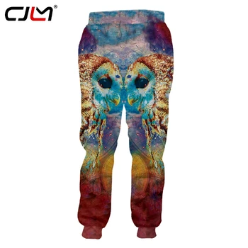 CJLM 2019 Унисекс в стиле хип-хоп с 3D Принтом, оригинальная цветная сова на Заказ, спортивные штаны большого Размера, Прямая поставка